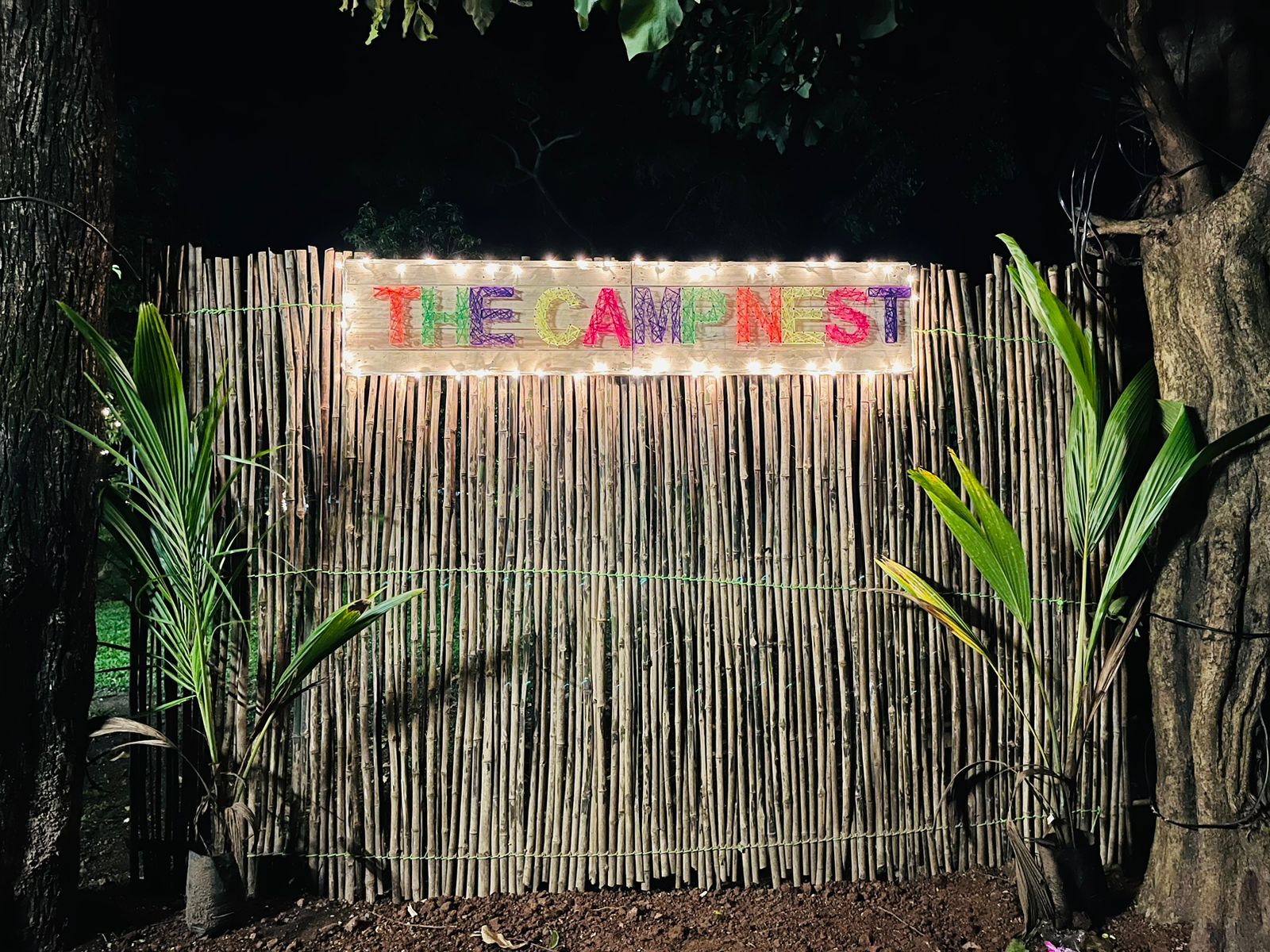 The Camp Nest